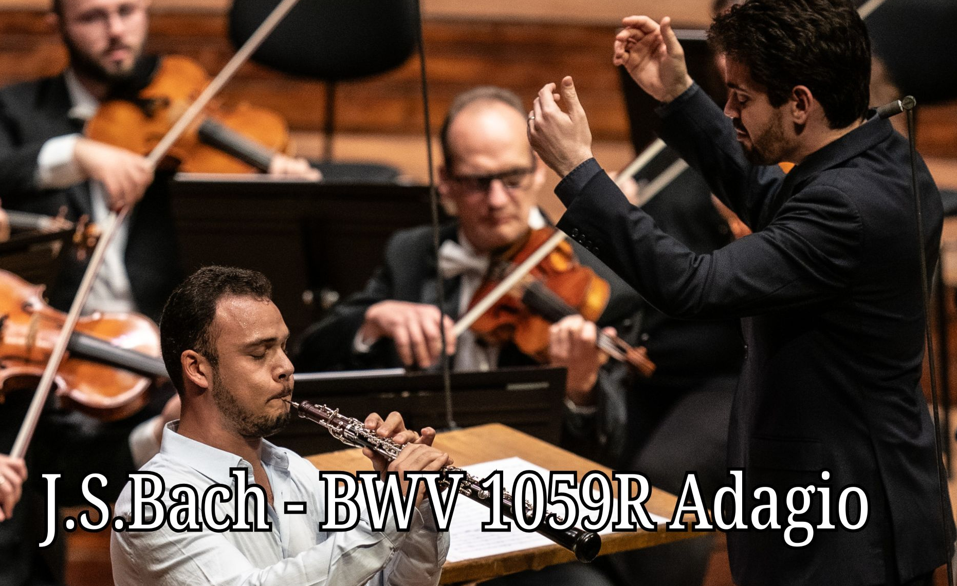 Mozart Oboe Concerto